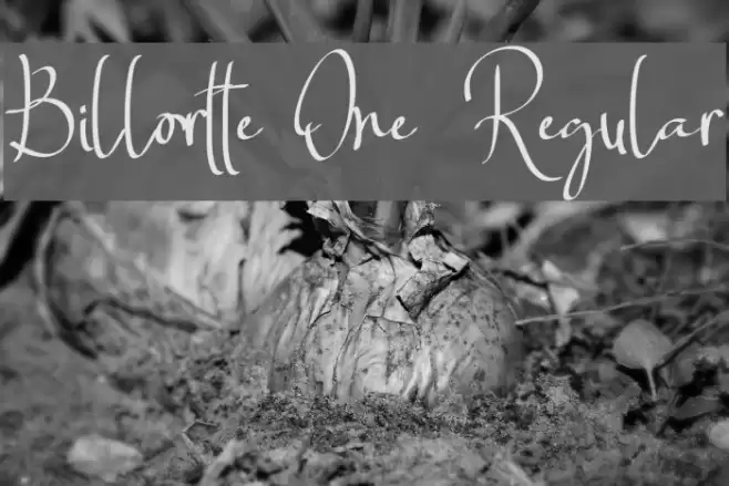 Billortte One_Regular Font examples