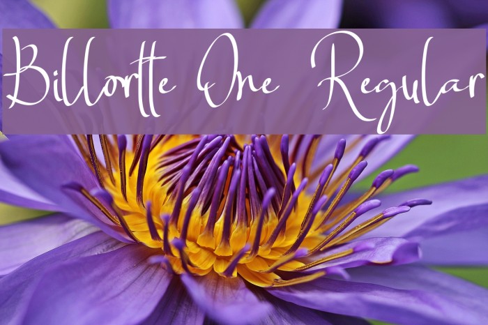 Billortte One_Regular Font examples