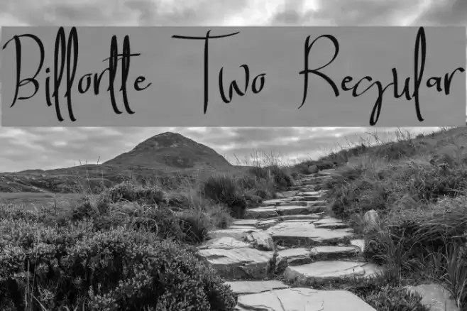 Billortte Two_Regular Font examples