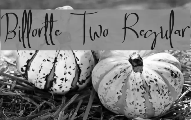 Billortte Two_Regular Font examples