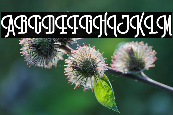 BillrocksDEMO Example 3