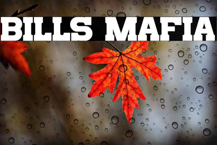 Bills Mafia Example 3