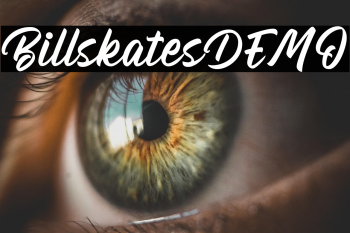 BillskatesDEMO Example 1