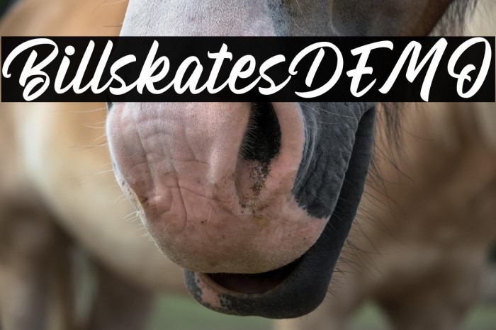 BillskatesDEMO Example 2