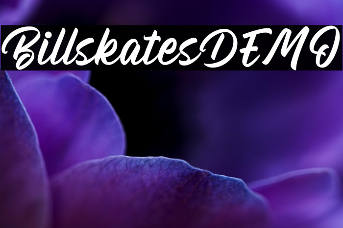 BillskatesDEMO Example 3