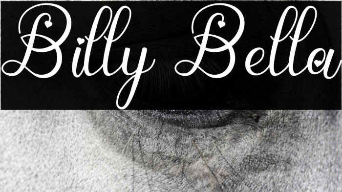 Billy Bella Example 2