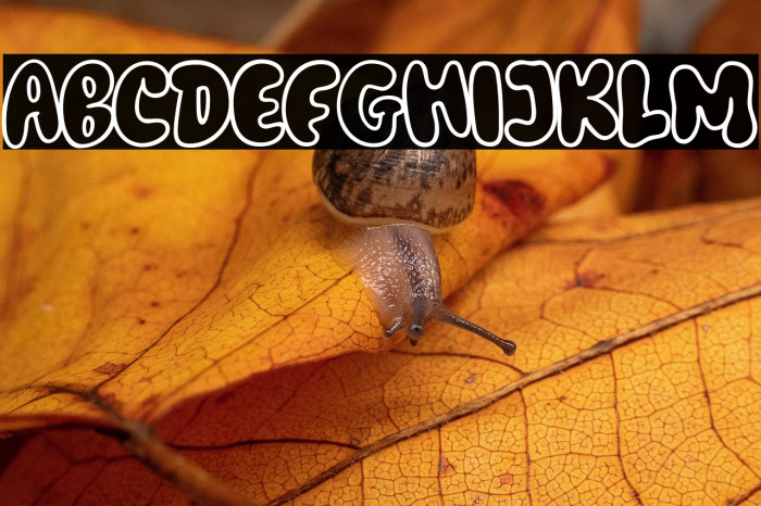 Billy Bounce Example 3