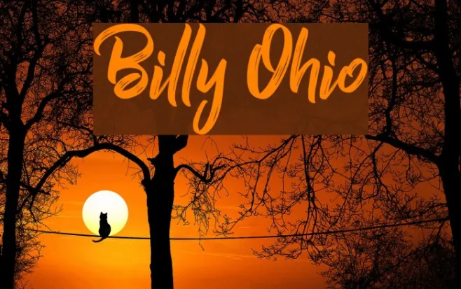 Billy Ohio Example 2