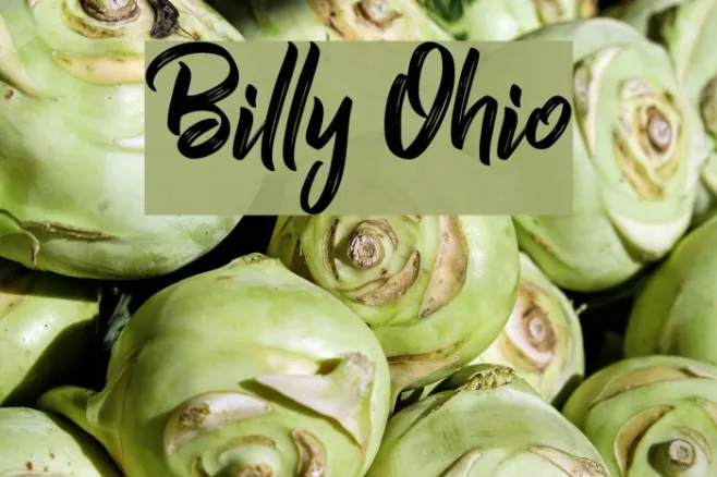 Billy Ohio Example 3