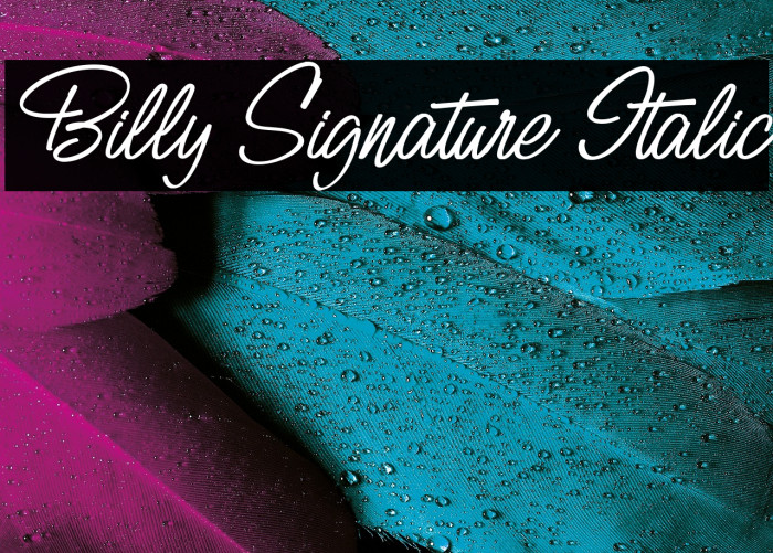 Billy Signature Italic Example 1