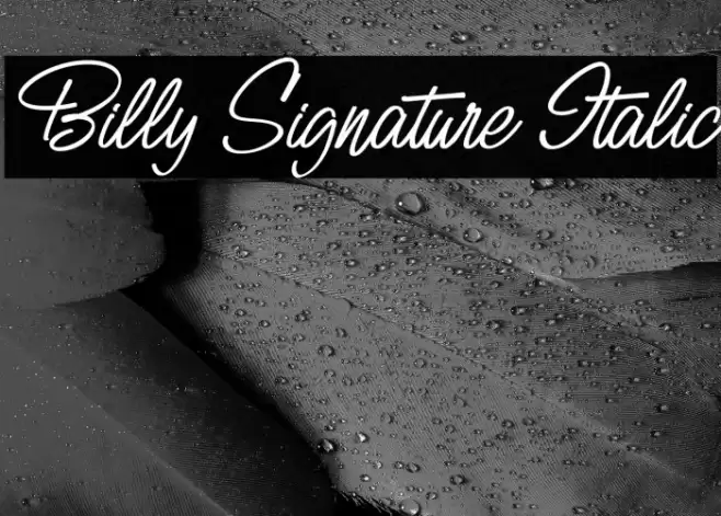Billy Signature Italic フォント examples
