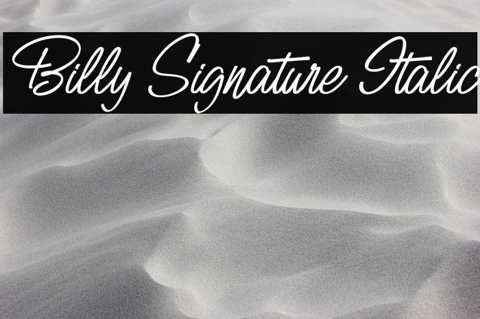 Billy Signature Italic Example 2