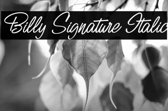 Billy Signature Italic フォント examples
