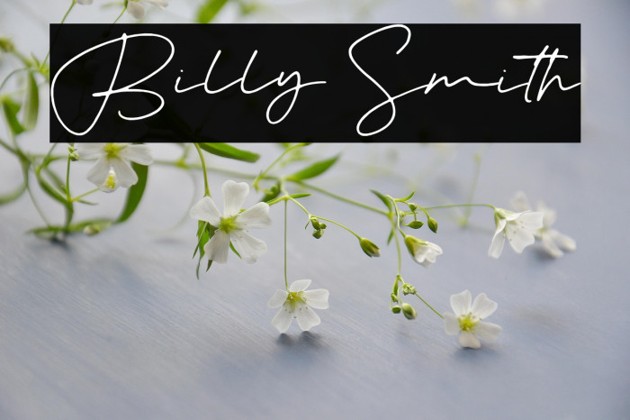 Billy Smith Example 2