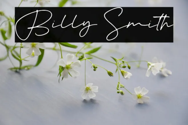 Billy Smith Example 2