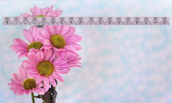 BillyBear TeddyBear Font examples