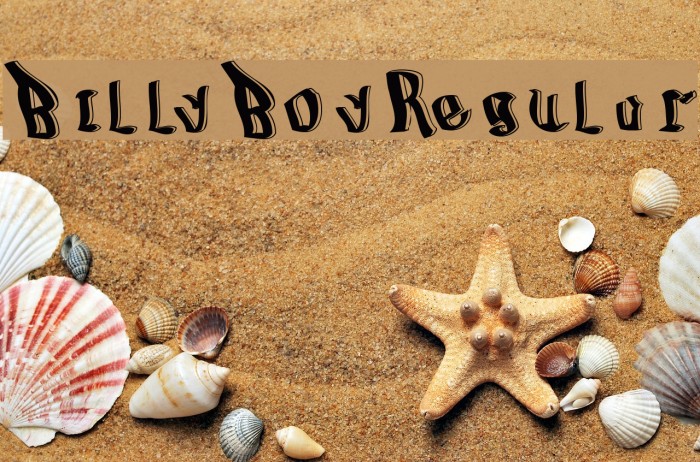 BillyBoy-Regular Font examples