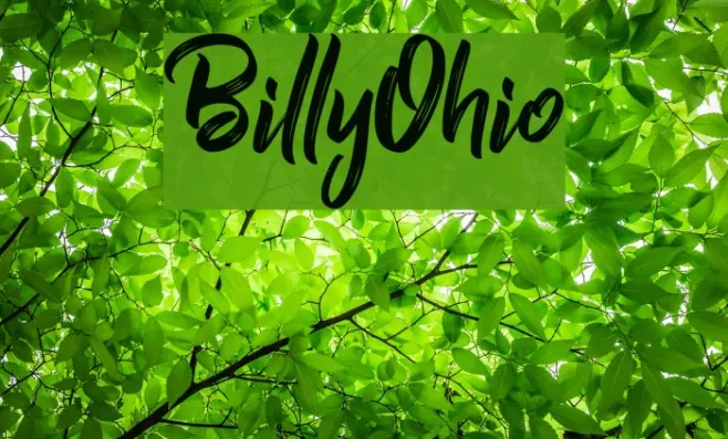 BillyOhio Example 2
