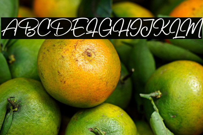 BillySignature Example 3