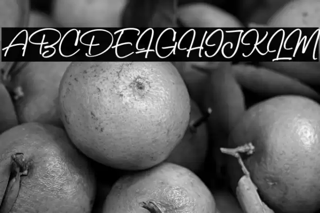 BillySignature Font examples