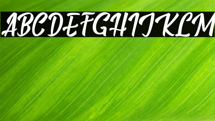 BillyTheGang-Italic Example 3