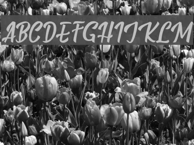 BillyTheGang-Italic Font examples