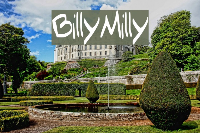 Billy_Milly Font examples