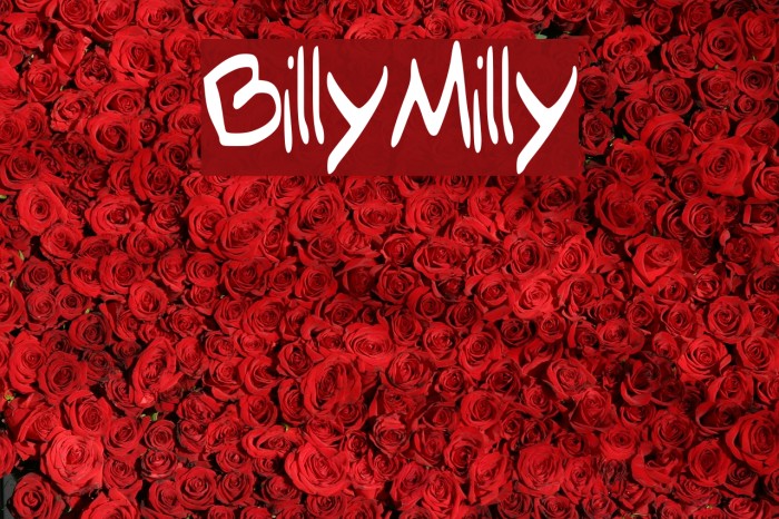 Billy_Milly Font examples
