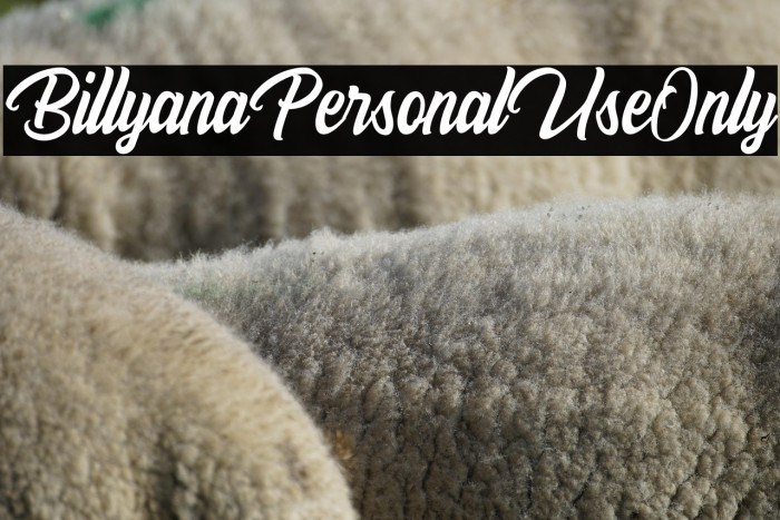 BillyanaPersonalUseOnly Example 1