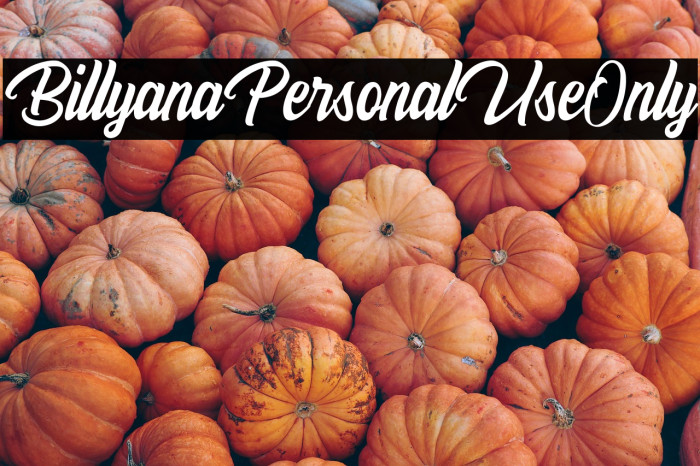 BillyanaPersonalUseOnly Example 3