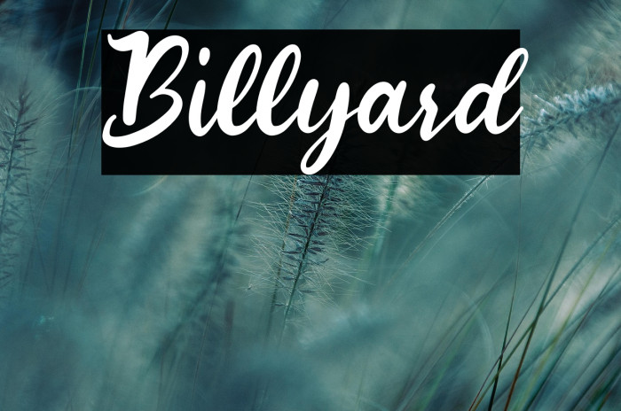 Billyard Example 2
