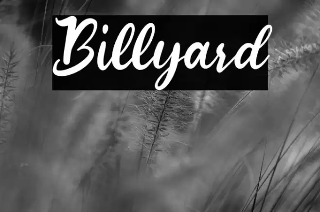 Billyard Font examples
