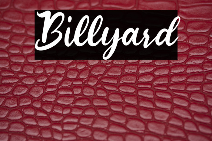 Billyard Example 3