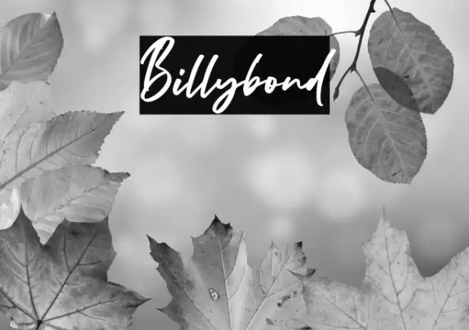 Billybond Font examples