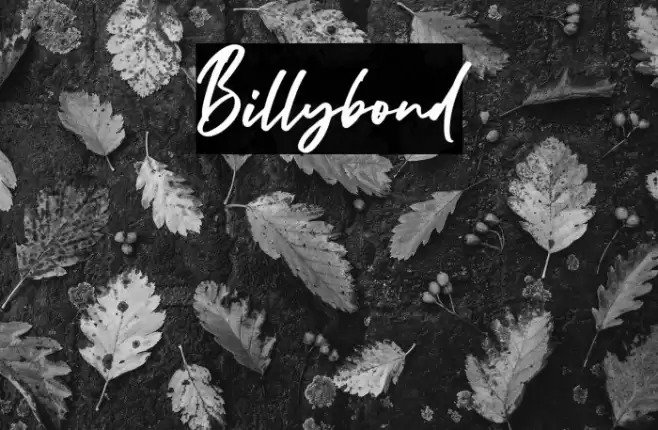 Billybond Font examples