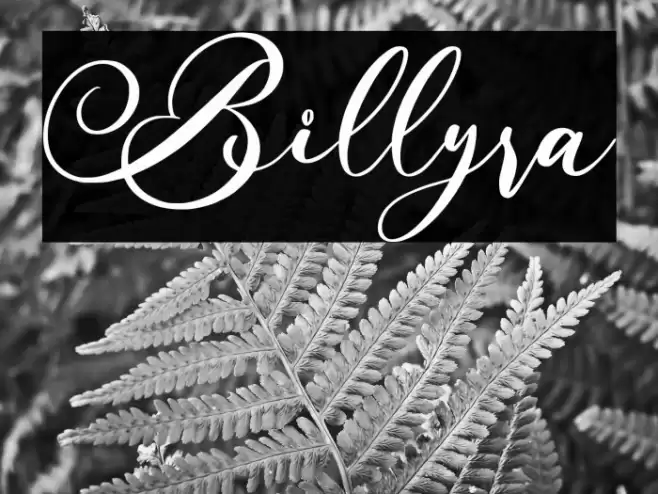 Billyra Font examples