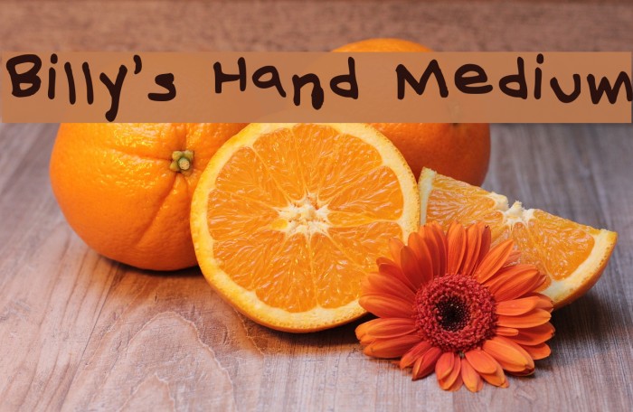 Billy's Hand Medium Font examples