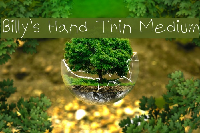 Billy's Hand Thin Medium Font examples