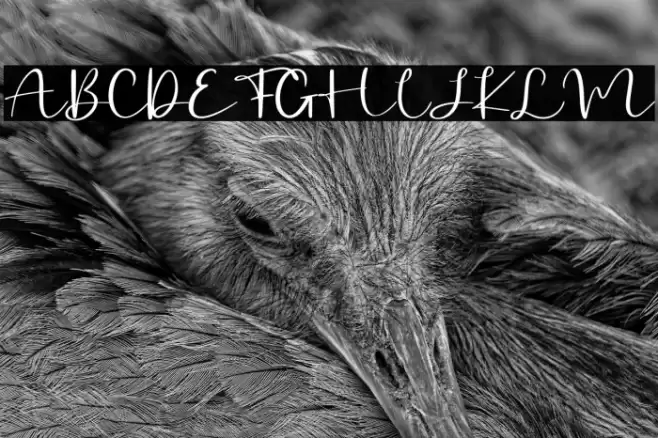 Billystory - Personal Use フォント examples