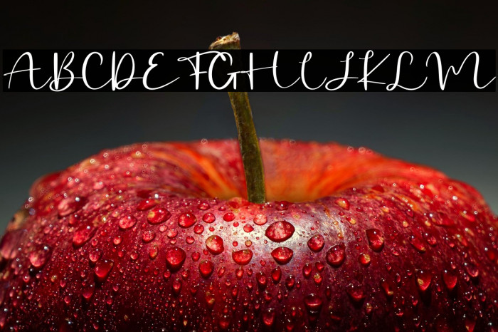 Billystory - Personal Use Example 3