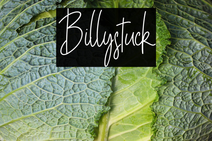 Billystuck Example 3