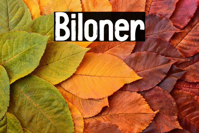 Biloner Example 1