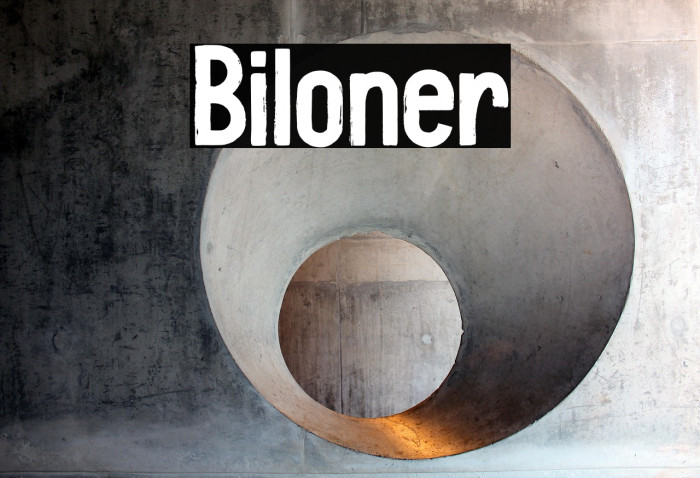 Biloner Example 2