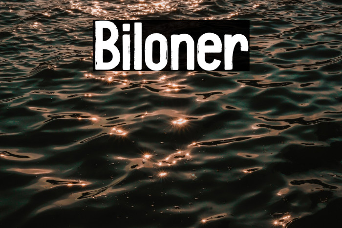 Biloner Example 3