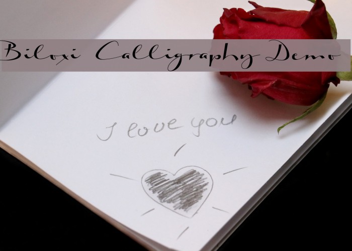 Biloxi Calligraphy Demo Font examples