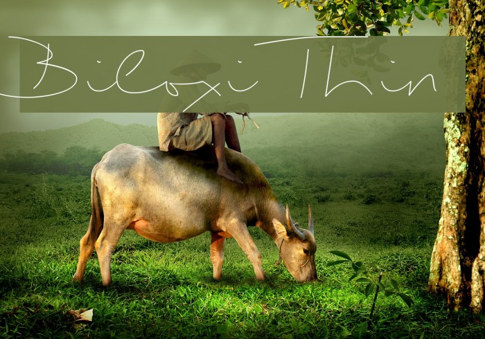 Biloxi Thin Font examples