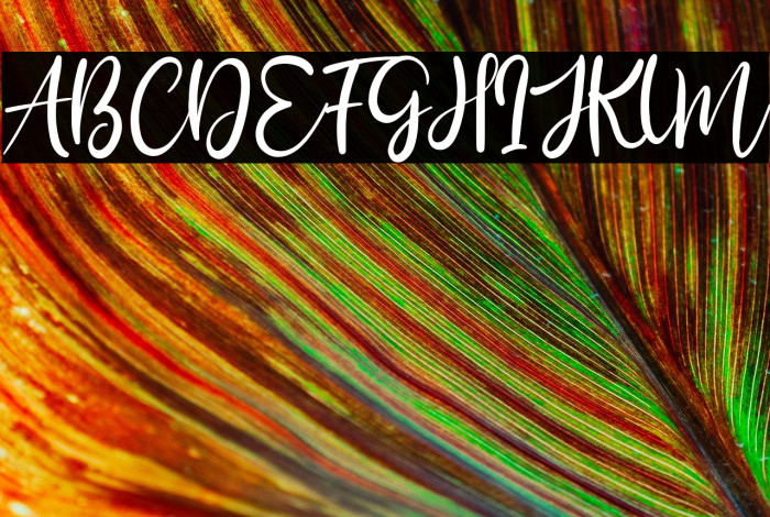 Bily Keith Example 3