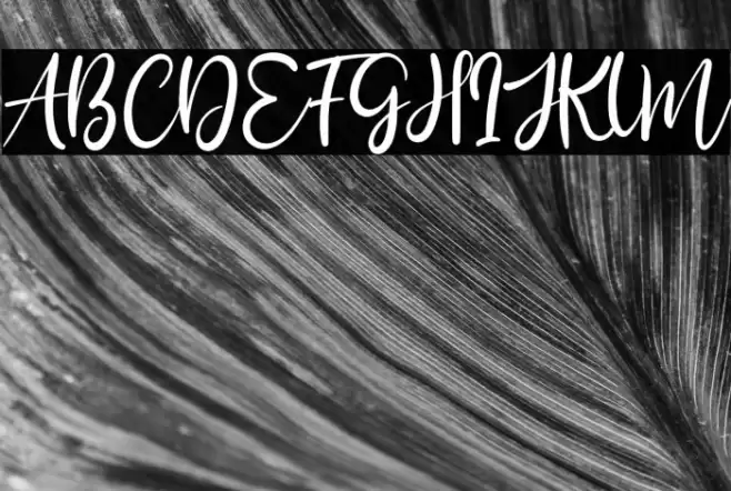 Bily Keith Polices examples