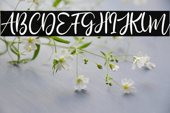 Bily Keith Example 1