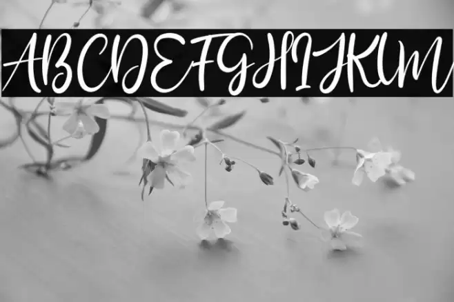 Bily Keith Font examples